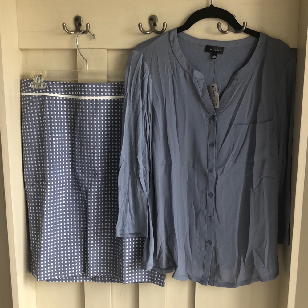 The Limited skirt and blouse set